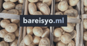 ファイル:Bareisyo-ml.pngのサムネイル